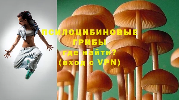 соль ск Вязники