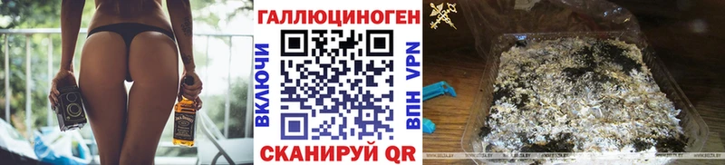 KRAKEN сайт  Евпатория  Псилоцибиновые грибы Psilocybe 